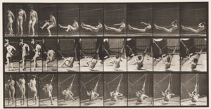 Planche 261. Entrer dans un hamac - Eadweard Muybridge