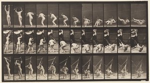 Planche 262. Sortir d