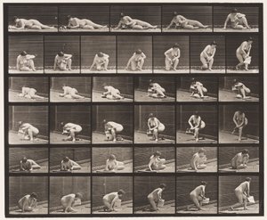 Plaque 270. Se levant du sol avec un pamphlet dans la main gauche - Eadweard Muybridge