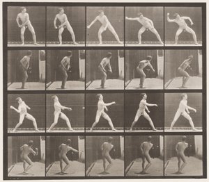 Planche 273. Base-ball; Lancer - Eadweard Muybridge