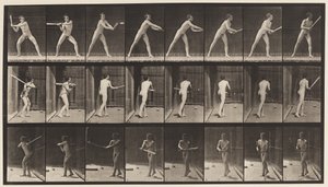 Planche 277. Base-ball; Batting - Eadweard Muybridge