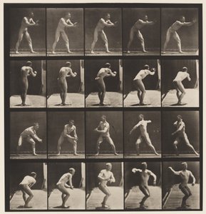 Planche 282. Base-ball; Attraper et lancer, 1885 - Eadweard Muybridge