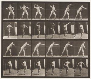 Planche 286. Base-ball; Lancer - Eadweard Muybridge