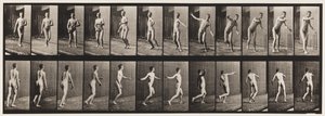 Planche 289. Cricket ; lancer à bras rond, 1885 - Eadweard Muybridge