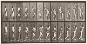 Cricket; Battre; Conduire, 1885 - Eadweard Muybridge