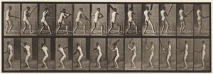 Cricket; Battre; Reculer, 1885 - Eadweard Muybridge