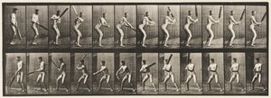 Planche 293. Cricket; Battre; Coup arrière, 1885 - Eadweard Muybridge