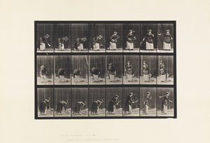 Planche 295. Tennis sur gazon; Service - Eadweard Muybridge