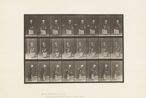 Planche 296. Tennis sur gazon - Eadweard Muybridge