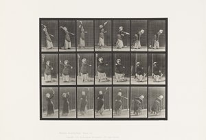 Planche 298. Tennis sur Gazon - Eadweard Muybridge