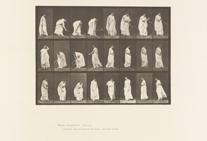 Planche 299. Jouer avec une Balle - Eadweard Muybridge