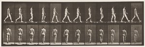 Planche 2. Marche - Eadweard Muybridge
