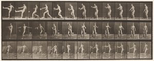 Planche 301. Football; Punt, 1885