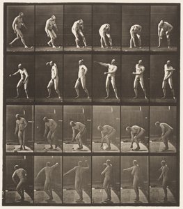 Planche 302. Ramasser une balle et la lancer, 1885 - Eadweard Muybridge