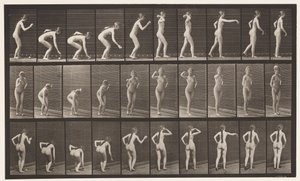 Plaque 304. Ramasser une balle et la lancer - Eadweard Muybridge