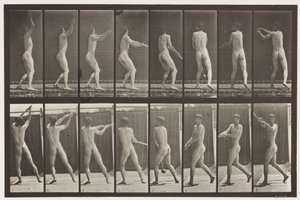 Planche 309. Lancer du marteau - Eadweard Muybridge