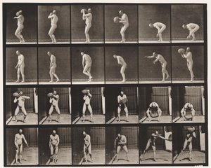 Plaque 312. Soulever une pierre de 75 lb - Eadweard Muybridge