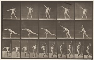 Planche 313. Soulever une pierre de 20 lb, 1885 - Eadweard Muybridge