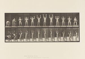 Planche 322. Homme Soulevant des Haltères