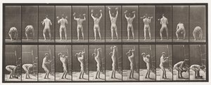 Planche 323. Soulever et abaisser deux haltères de 50 lb - Eadweard Muybridge