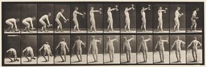 Planche 326. Soulever un haltère de 50 lb à bout de bras