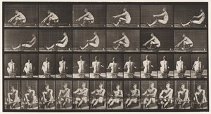 Planche 327. Aviron - Eadweard Muybridge