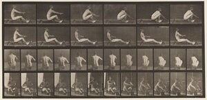 Planche 328. Aviron - Eadweard Muybridge