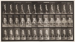 Planche 32. Marcher, portant un seau d