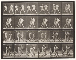 Planche 330. Boxe; Contre-croisé (Chaussures) - Eadweard Muybridge