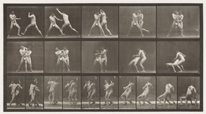 Planche 331. Boxe; Arrêt pour crochets - Eadweard Muybridge