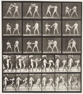 Planche 334. Boxe; avec gants (chaussures) - Eadweard Muybridge