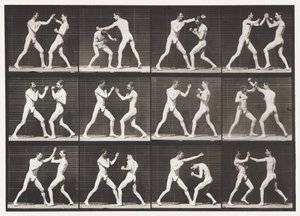 Planche 336. Boxe; Main ouverte (chaussures) - Eadweard Muybridge