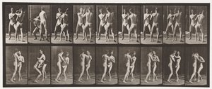 Planche 337. Boxe; Main ouverte - Eadweard Muybridge