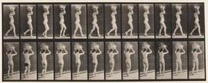 Planche 33. Marche, panier de 14 lb sur la tête, mains levées, 1872-1885 - Eadweard Muybridge