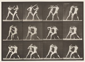 Plaque 340. Boxe; main ouverte - Eadweard Muybridge