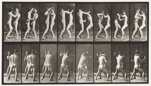 Planche 341. Boxe; Main ouverte - Eadweard Muybridge