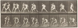 Boxe à main ouverte - Eadweard Muybridge
