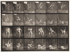 Planche 348. Lutte gréco-romaine, 1885 - Eadweard Muybridge