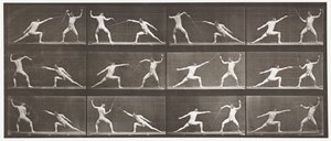 Planche 349. Escrime - Eadweard Muybridge