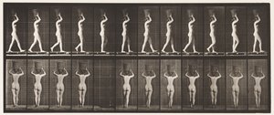 Planche 34. Marcher - Eadweard Muybridge