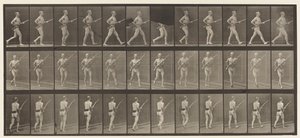 Charge à la baïonnette - Eadweard Muybridge
