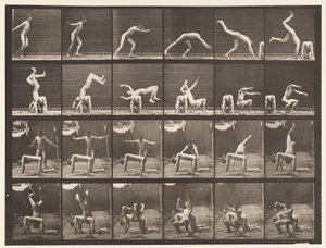 Planche 364. Saut périlleux par-dessus le dos d