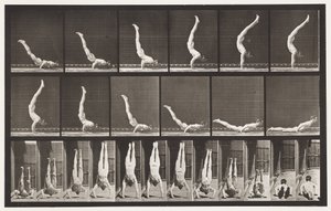 Planche 372. Acrobate, pression horizontale - Eadweard Muybridge