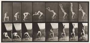 Planche 373. Acrobate, pression depuis une chaise - Eadweard Muybridge
