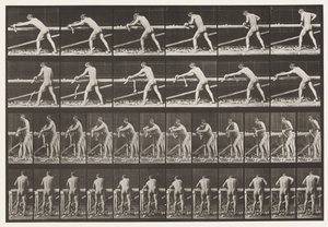 Charpentier, rabotant une planche - Eadweard Muybridge