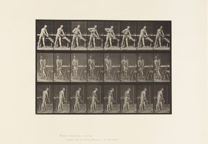 Charpentier, Scier, 1872-1885 - Eadweard Muybridge