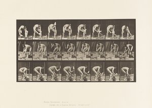 Plaque 381. Maçon, posant une brique - Eadweard Muybridge