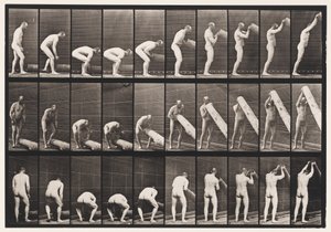 Planche 382. Soulever une bûche à la verticale, 1872-1885 - Eadweard Muybridge