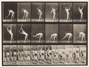 Planche 385. Fermier, utilisant une pioche, 1872-1885 - Eadweard Muybridge