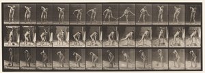 Planche 387. Fermier, utilisant une pelle à long manche - Eadweard Muybridge